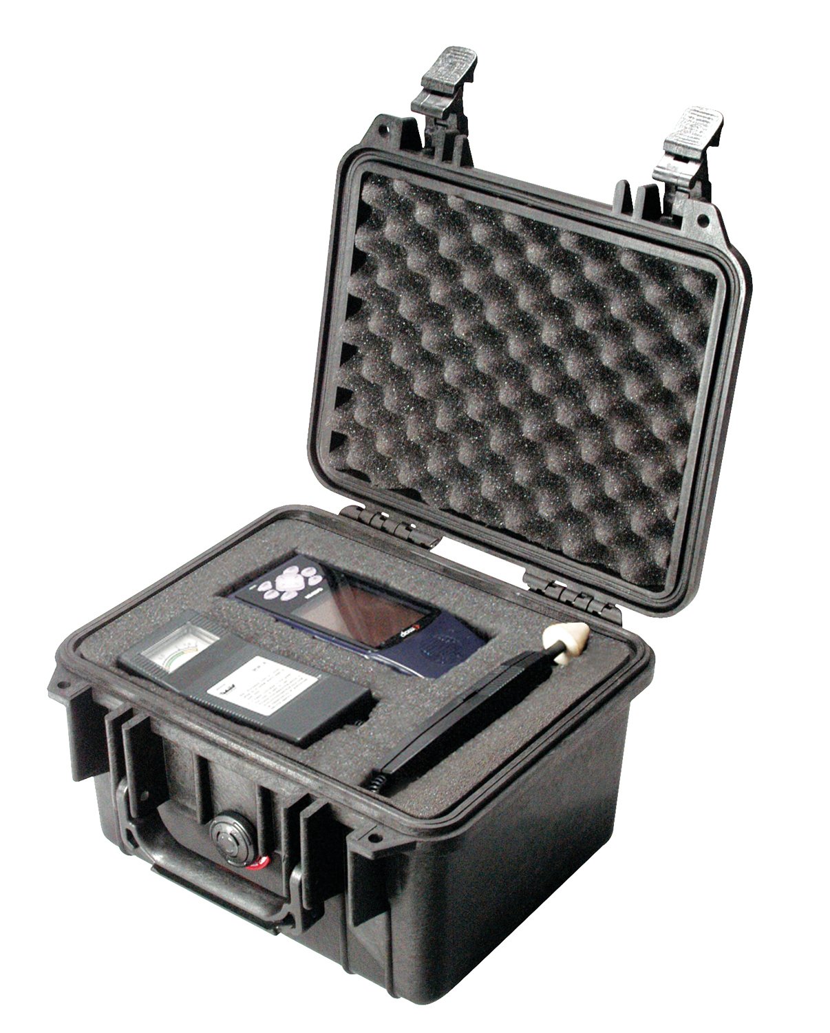 case_1300_1.jpg