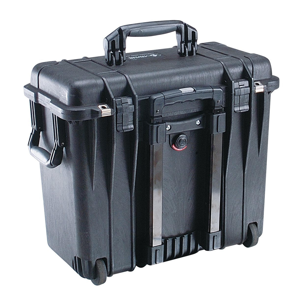 case_1440_3.jpg