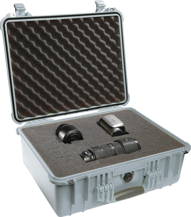 case_1550_slvr_wf.jpg